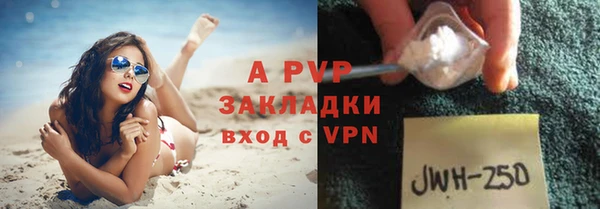 стафф Медвежьегорск