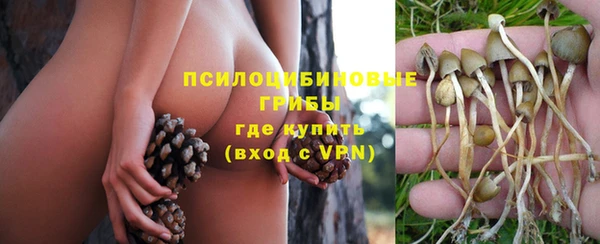 стафф Медвежьегорск