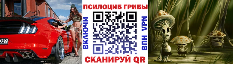 Галлюциногенные грибы Psilocybe  Купить  Касли 